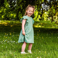 Girl's Cotton Dress - 'Butterfly' - Green with Blue Stripe