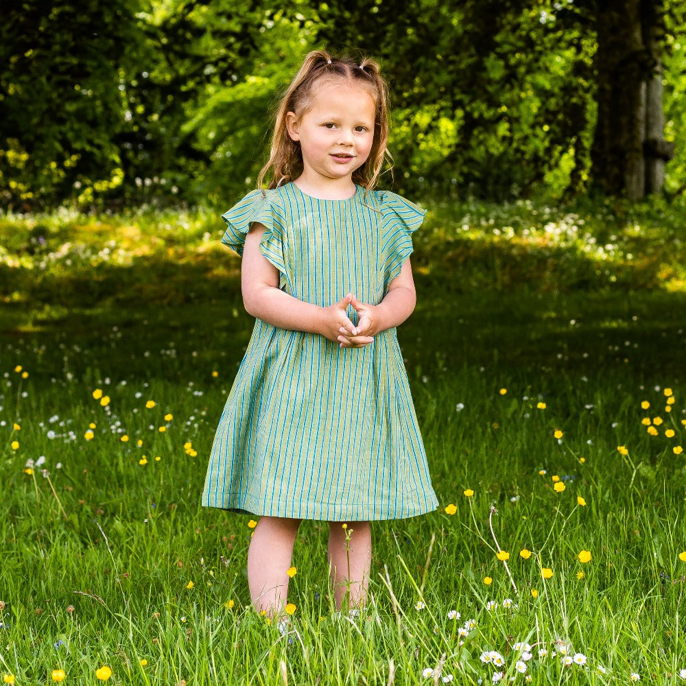Girl's Cotton Dress - 'Butterfly' - Green with Blue Stripe
