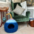 Green velvet armchair with a patterned pillow and a blue multicoloured pet bed on a tiled floor.