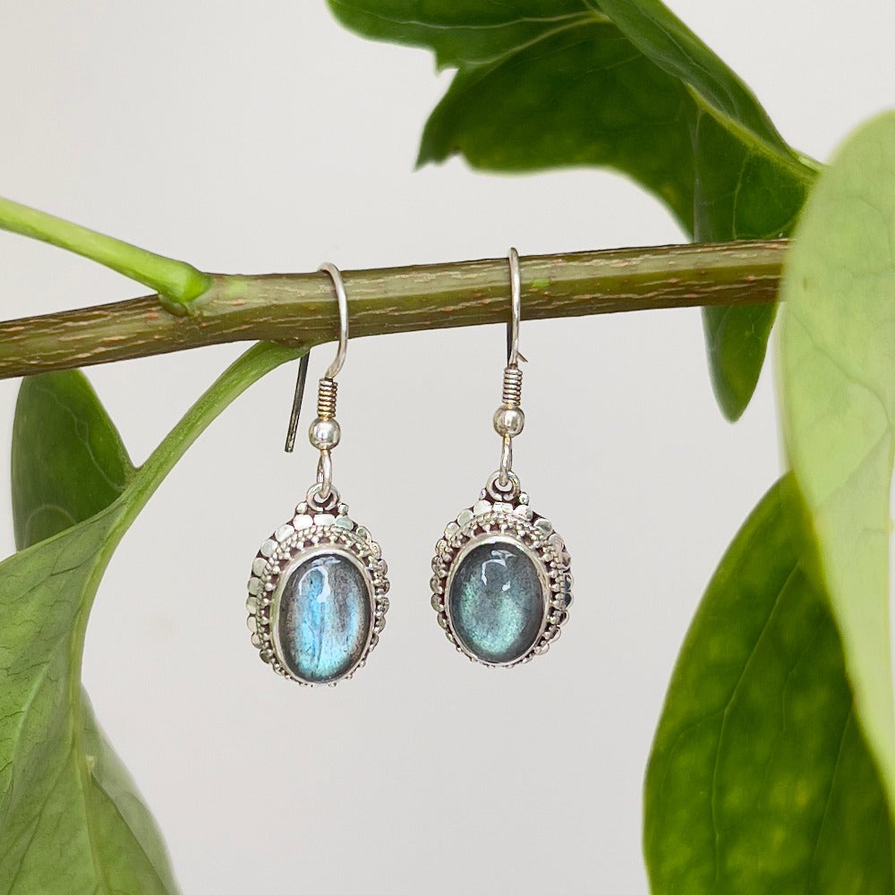 Labradorite & Silver Earrings