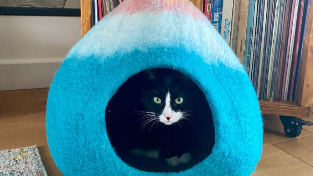 Multicoloured pet bed with a cat inside, placed on a wooden floor with a bookshelf in the background.