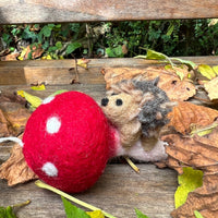 Handcrafted Felted Wool 'Woodland Toadstool' with Hedgehog