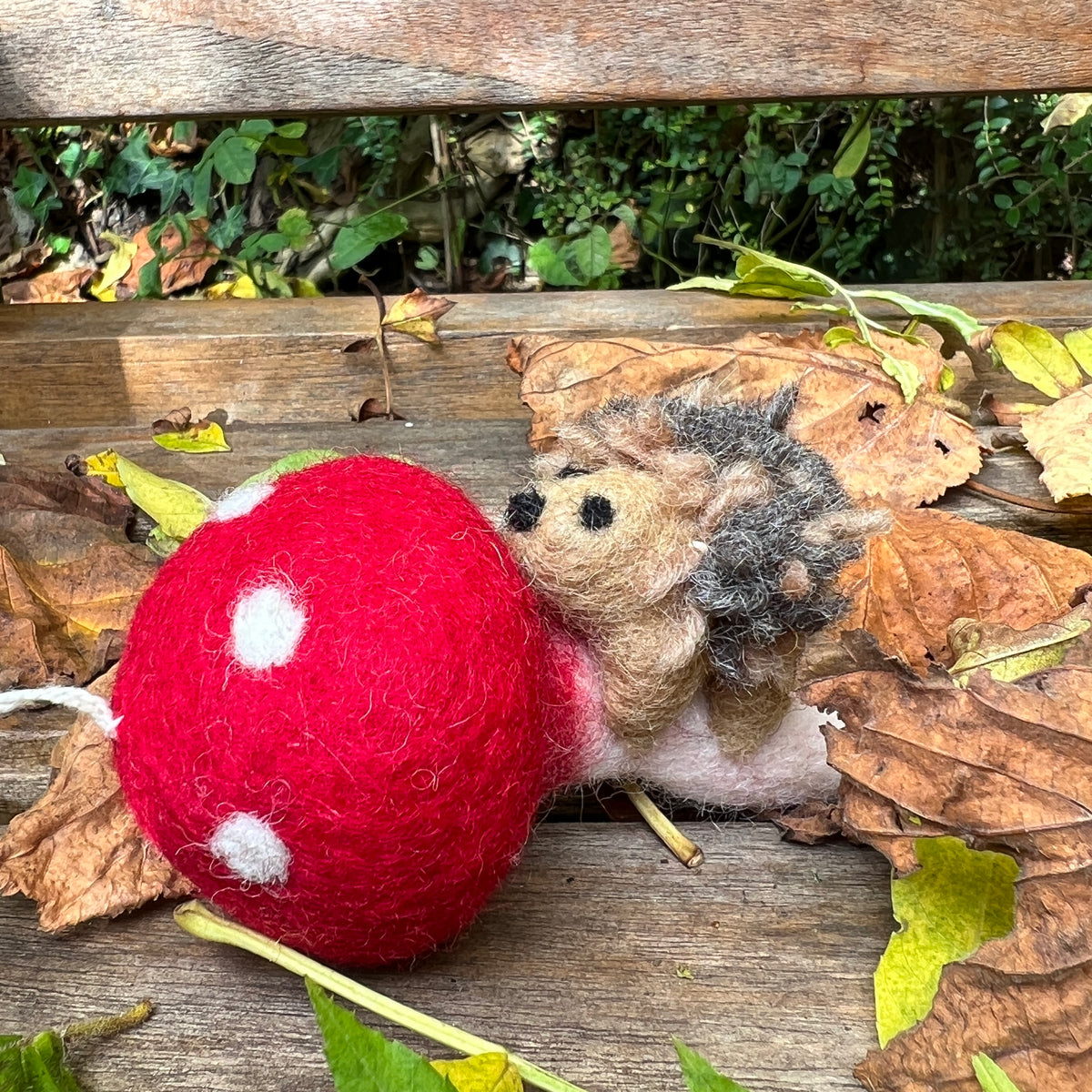 Douée -  Woodland Toadstool with Hedgehog