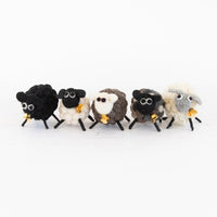 Pure Wool Sheep - 5 Different Colours to Choose From. Take a look at the Flock.....