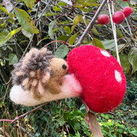 Handcrafted Felted Wool 'Woodland Toadstool' with Hedgehog