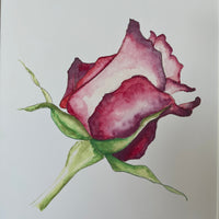 A Rose for My Love – Limited Edition Watercolour Print by Linda Beazley