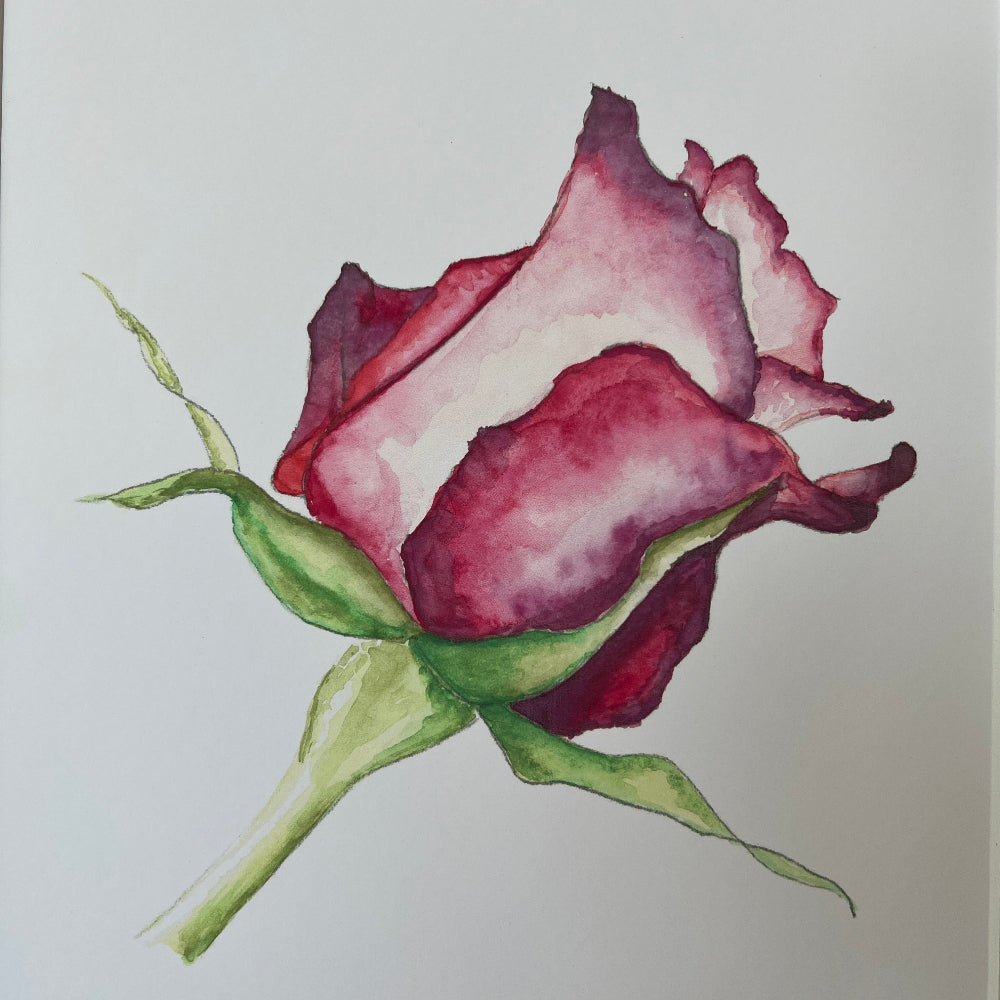 Limited Edition Mounted Print &#39;My Love&#39; - by Linda Beazley