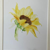 Limited Edition Mounted Print 'Sunflower' - by Linda Beazley