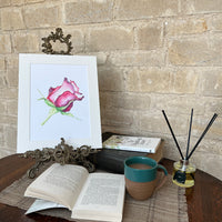 A Rose for My Love – Limited Edition Watercolour Print by Linda Beazley