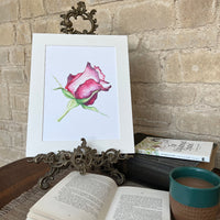 A Rose for My Love – Limited Edition Watercolour Print by Linda Beazley